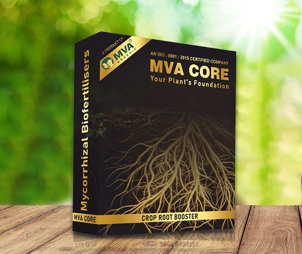 MVA Organic MVA Organic